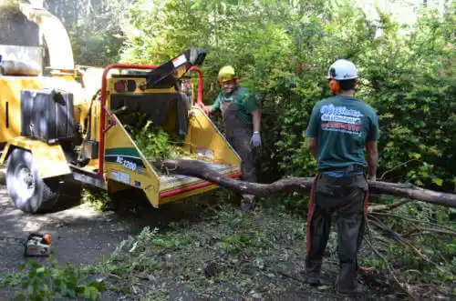 tree services Harbor Bluffs